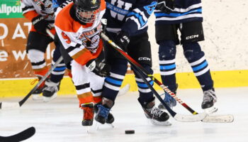 Ave Road game picture